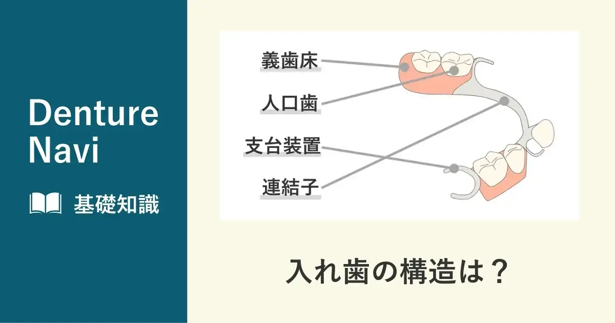 入れ歯の構造とは？