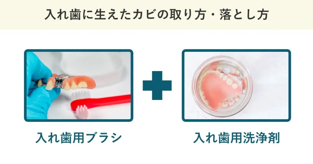 入れ歯に生えたカビを取る際には、入れ歯用ブラシと入れ歯用洗浄剤を用います。