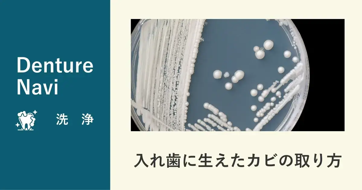 入れ歯に生えたカビの取り方・落とし方
