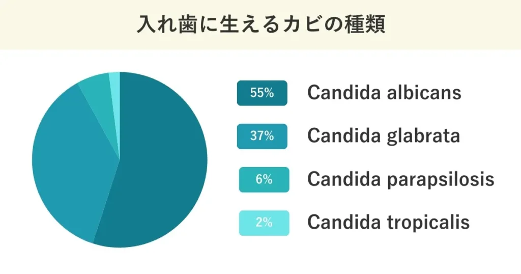 入れ歯に生えるカビの種類は、Candida albicansを代表とするカンジダ菌です。
