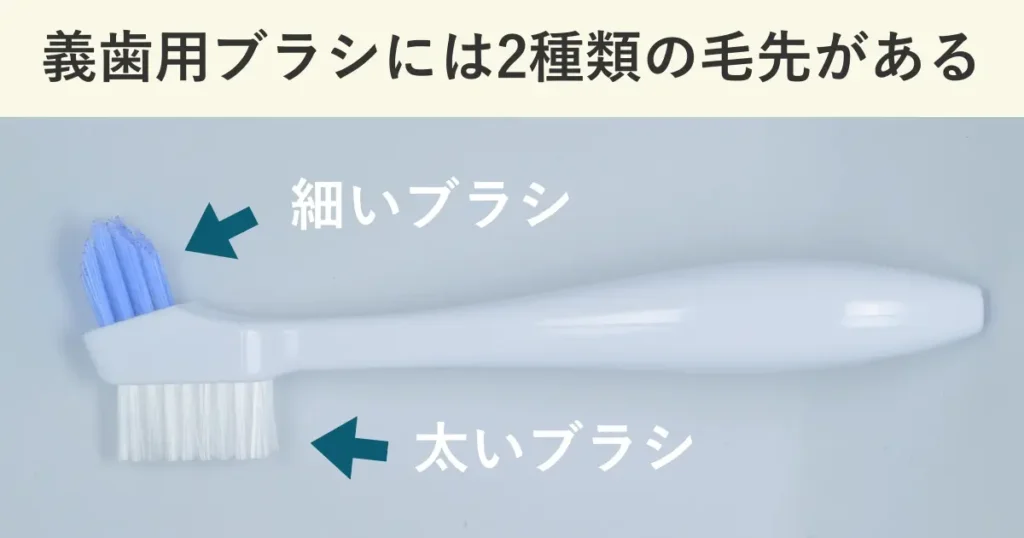 入れ歯用ブラシには細いブラシと太いブラシの二種類の毛先が用意されています。