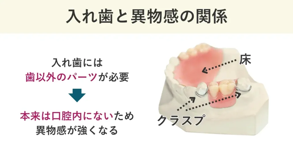 入れ歯には歯以外のパーツが必要（床やクラスプ）が必要なので、本来は口腔内にない部分によって異物感が強くなります。