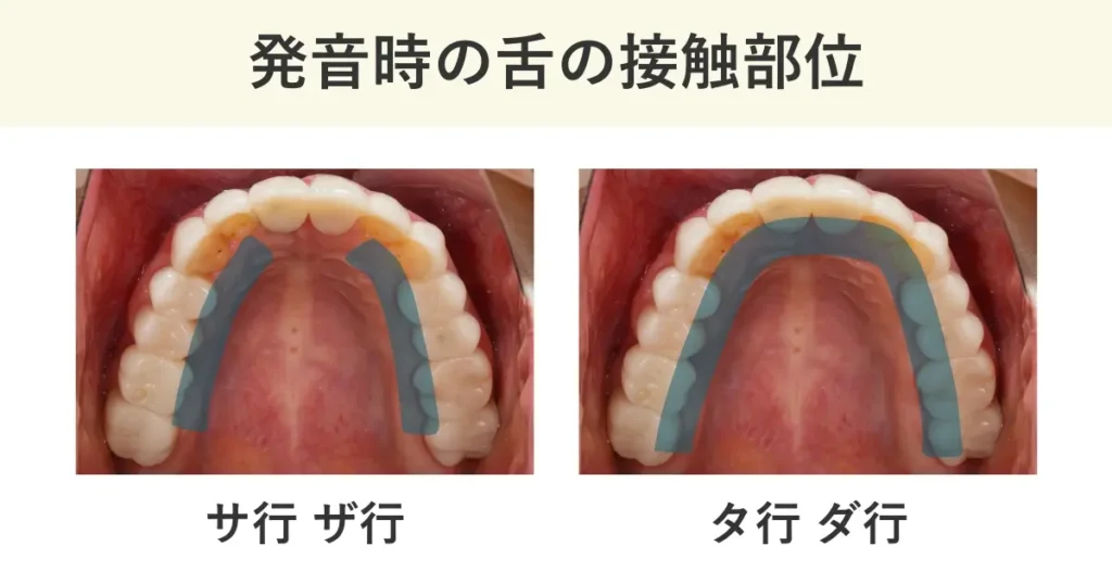 サ行、ザ行、タ行、ダ行では、舌と口蓋部を接触させて発音します。