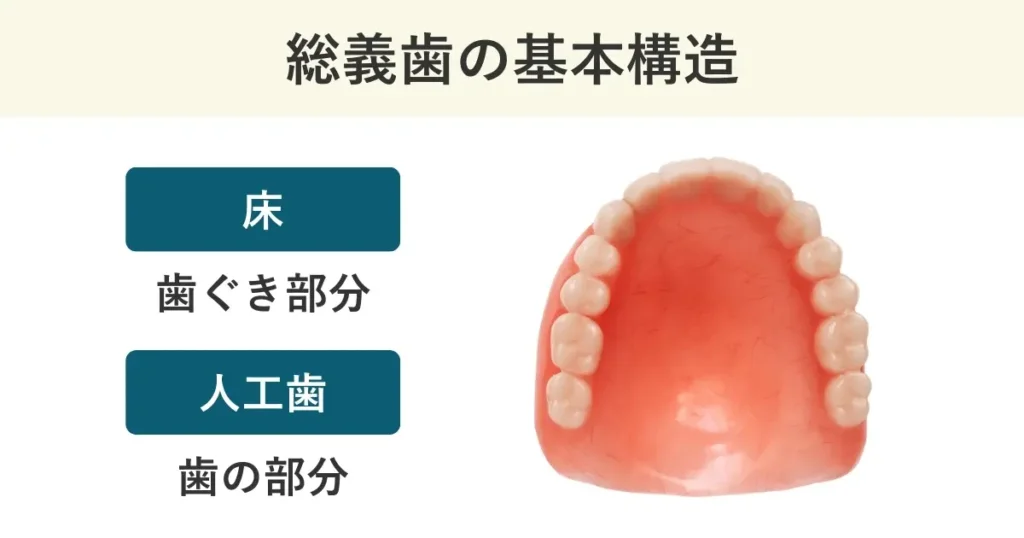 総入れ歯の基本構造は、歯ぐき部分の床と、歯の部分の人工歯からなります