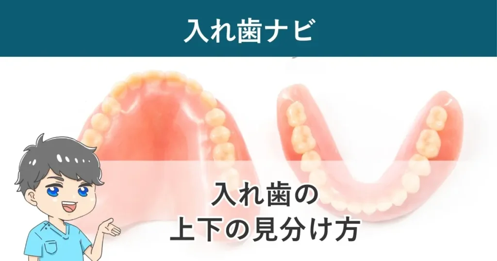 入れ歯ナビ：入れ歯の上下の見分け方